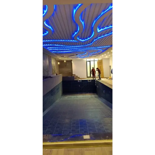 Swimming Pool Construction 8